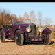 Illustration for article titled Purple 89 Year Old Aston Martin